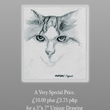 'Special Price' Just £10.00 for a 'Quick Draw' plus £2.75 p&p.