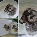 Hebridean Hand Painted Bowl (N,F.S) Limited Edition Printed TILES £14.99 each.