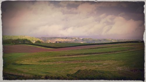 May Landscape 2
