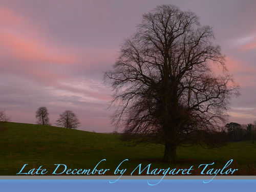 Late December at Dusk