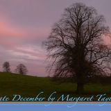 Late December at Dusk
