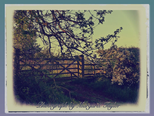 The Gate