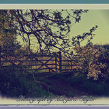 The Gate