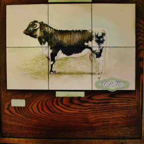 Farm and Countryside Tiles. Longhorn Bull (Commission 2006 for Natural England) Have a portrait painted of your Bull?