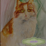 Portrait of Nelly Musician in "The Cat Band Story". Would you like a Watercolour Painting of your Cat?