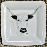 White Park hand painted Plate