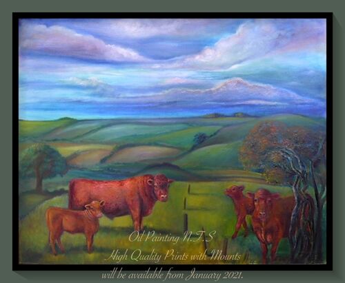 Lincolnshire landscape featuring Lincoln Red Cattle.