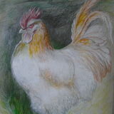Drawing of Cockerel just before completion.