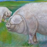 Lincolnshire Curley Coated Pig - Large Hand Painted Tile. Your Rare Breed Pig Painted or Drawn ?