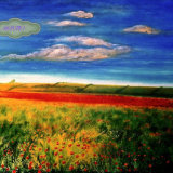 Poppy Field