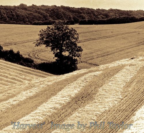 Image by Phil Taylor