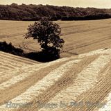 Image by Phil Taylor