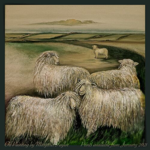 Oil Paintings of Sheep. Your Lincoln Longwool or any other breed?