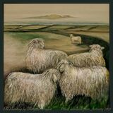 Oil Paintings of Sheep. Your Lincoln Longwool or any other breed?