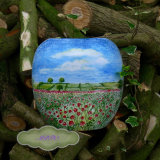 Poppy Landscape Vase £39.99 Payment on TheTaylorTrilogy.co.uk