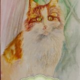 Watercolour of "Nelly"