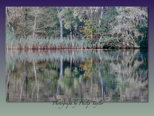 The Lake on Reflection