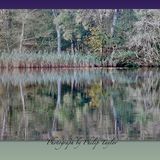 The Lake on Reflection