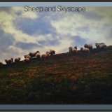 Sheep and Skyscape