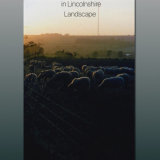 Sheep at Dusk in Lincolnshire Landscape by Margaret Taylor