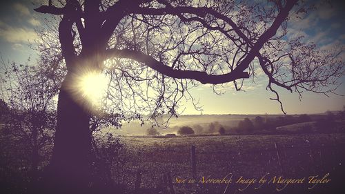 Sun in November