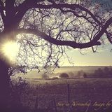 Sun in November