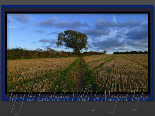 'Top of the Lincolnshire Wolds'