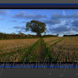 'Top of the Lincolnshire Wolds'