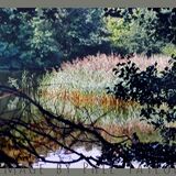 'Lake & Trees' Image by Phil Taylor