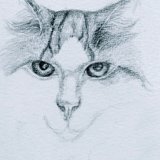 'Quick Draw' Unique drawing of your cat or dog.