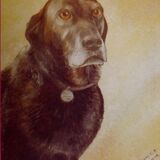 Oil Paintings of Dogs (Good Old Friend)