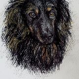 Slow Draw £25.00. A Portrait Drawing