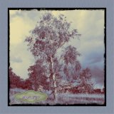 "Tree Tiles" Limited Edition printed Tiles