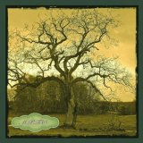"Tree Tiles" Limited Edition printed Tiles