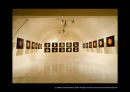 Exhibition Photos