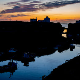 20200408- DSC3897