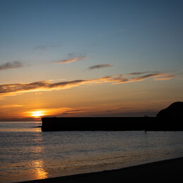 20200408- DSC4008