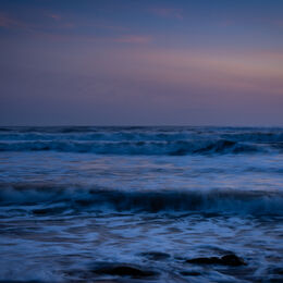 20200414- DSC4099