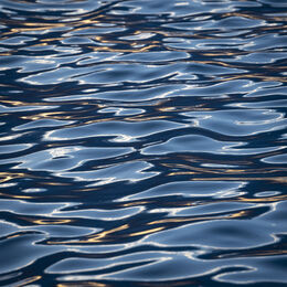 Reflections 1