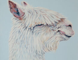 I think this is my best side Alpaca posing for his portrait