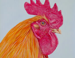 Ginger Serious Cockerel with ginger feathers
