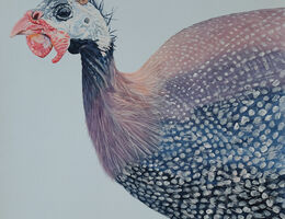 Make me look serious Painting of a Guineaufowl