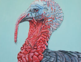Turkey Portrait