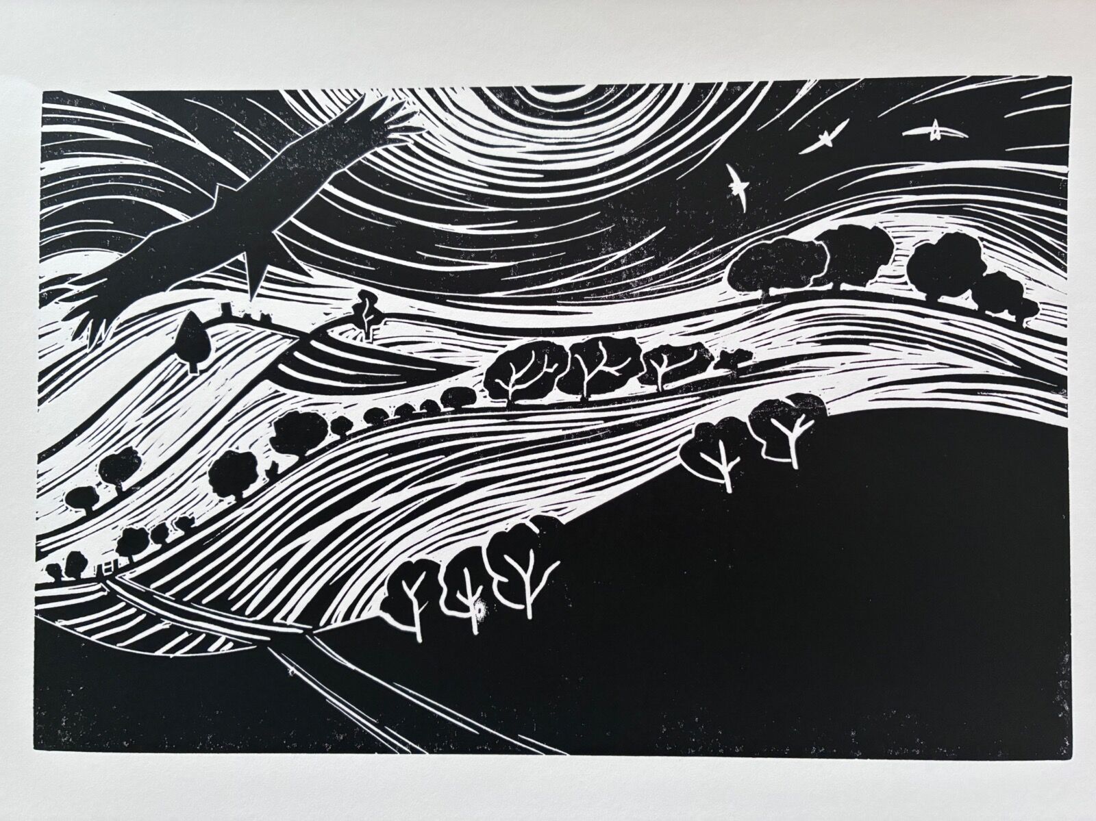 Red Kite Lin linocut lino print Pegsdon Hills Deacon Hill Chiltern Chilterns Hills Hertfordshire Bedfordshire Wildlife Trust Natural England