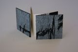 artist books 2013 005