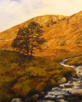 A view in the Cairngorms