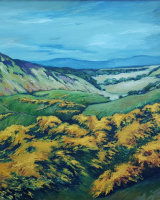 A view in the Ochil Hills