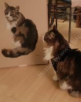 Angus signing off his portrait