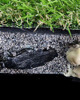 DESTRUCTION: War on nature (detail 2)