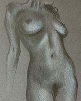 Graphite pencil study 2